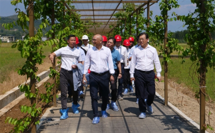 深業集團王昱文總裁一行調研農科新豐農旅項目